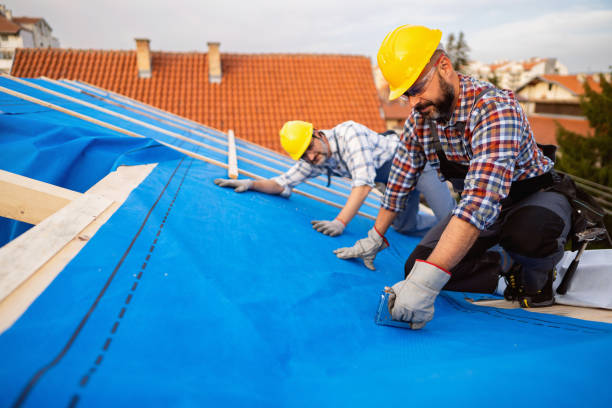 Best Roof Waterproofing  in Kenbridge, VA
