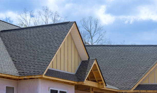 Best Skylight Installation and Repair  in Kenbridge, VA