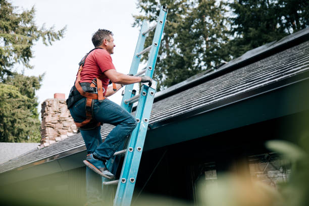 Best Chimney Flashing Repair  in Kenbridge, VA
