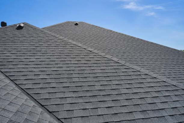 Best Storm Damage Roof Repair  in Kenbridge, VA