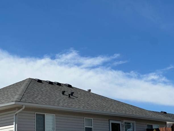 Best Roof Moss and Algae Removal  in Kenbridge, VA